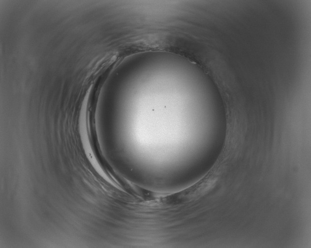 X0000077980384200611031406