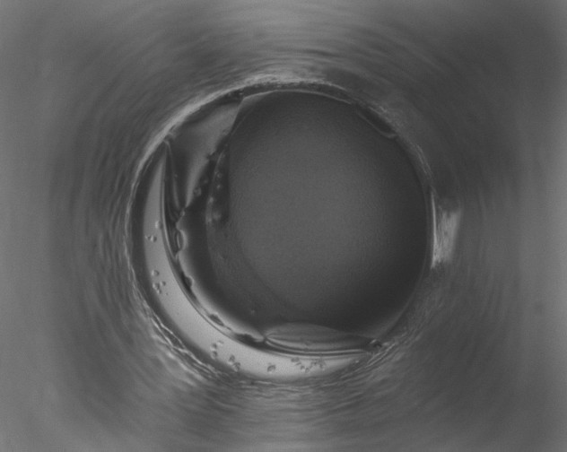 X0000077980387200611031405