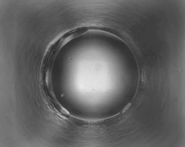 X0000077980388200611031405