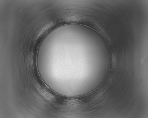 X0000077980396200611031405