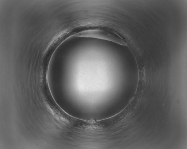 X0000077980400200611031405