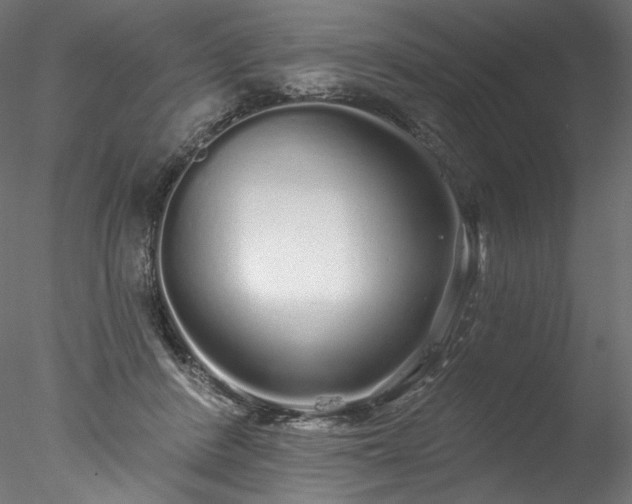 X0000077980408200611031405
