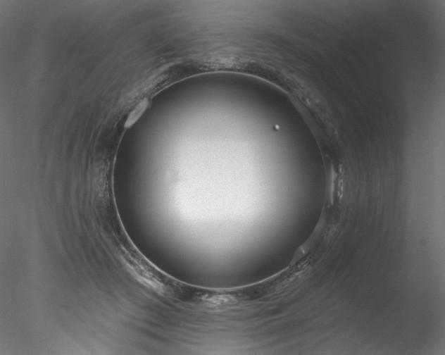 X0000077980409200611031405