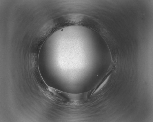 X0000077980412200611031405