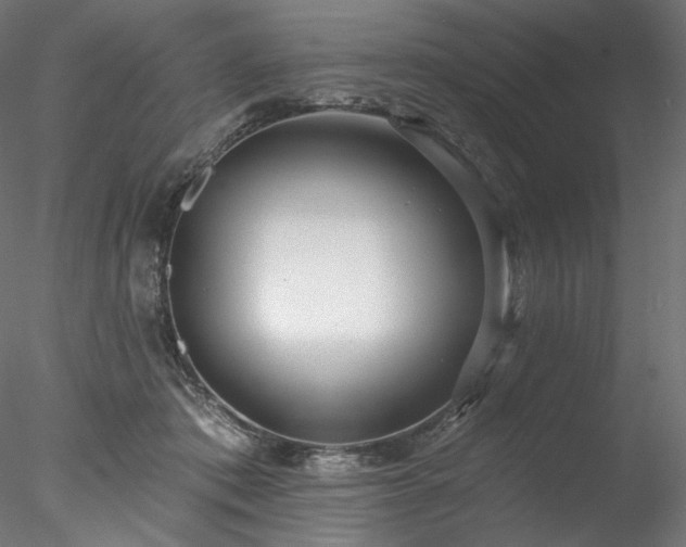 X0000077980413200611031405