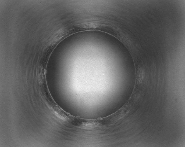 X0000077980414200611031405