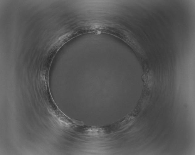 X0000077980415200611031404