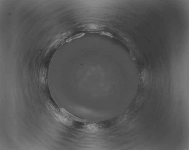 X0000077980423200611031404