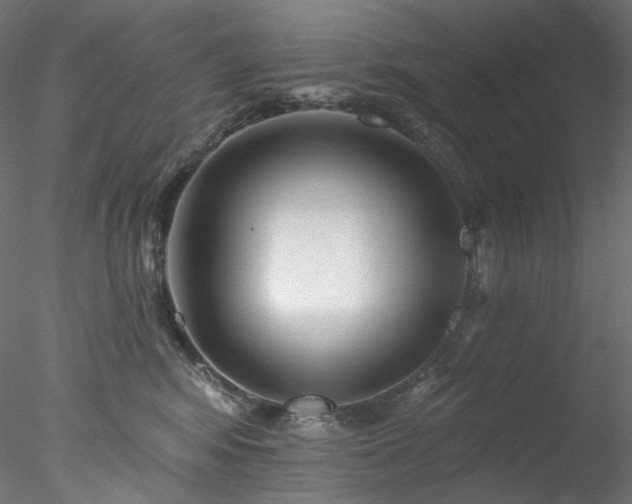 X0000077980424200611031404