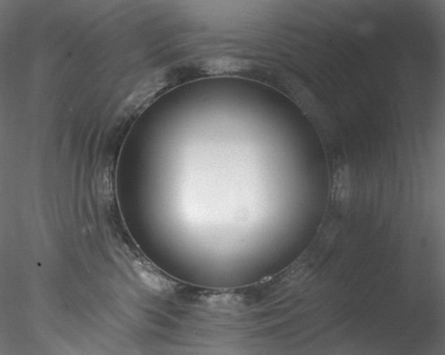 X0000077980426200611031404