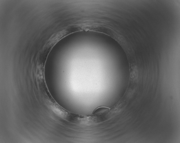X0000077980430200611031404