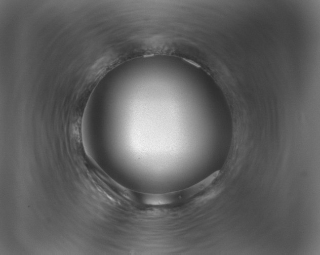 X0000077980432200611031404