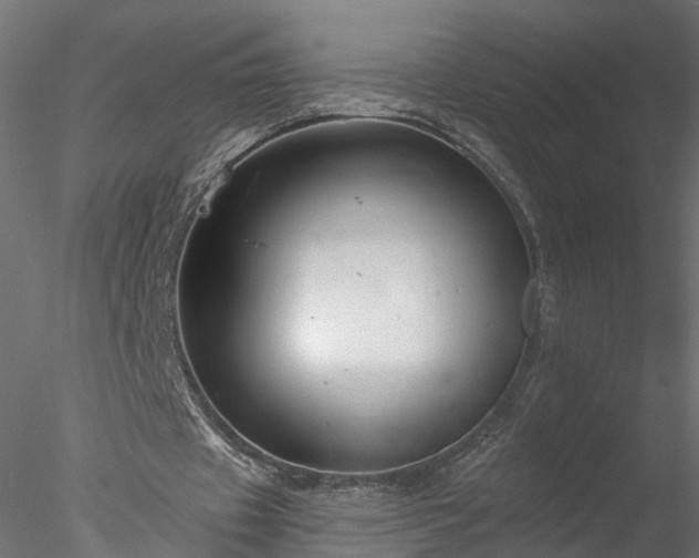 X0000077980433200611031403