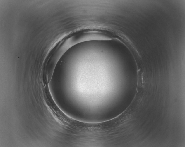 X0000077980436200611031403