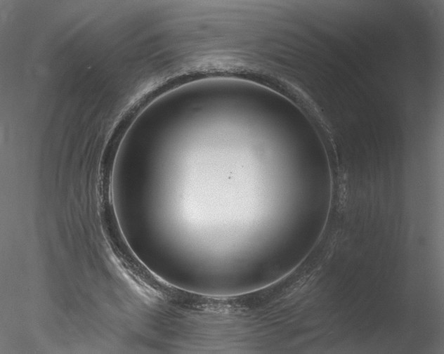 X0000077980439200611031404