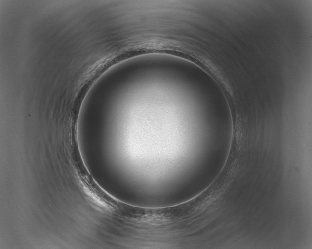 X0000077980445200611031404