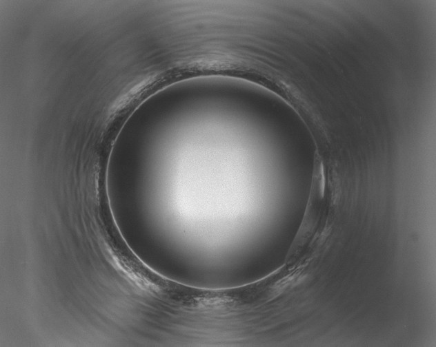 X0000077980446200611031404