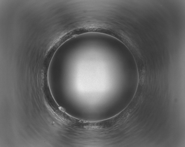 X0000077980448200611031404