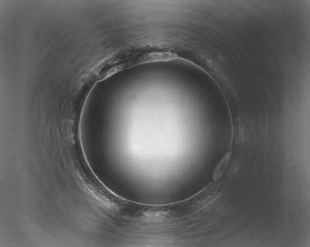 X0000077980450200611031404