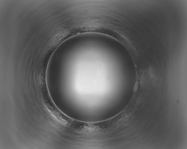 X0000077980455200611031404