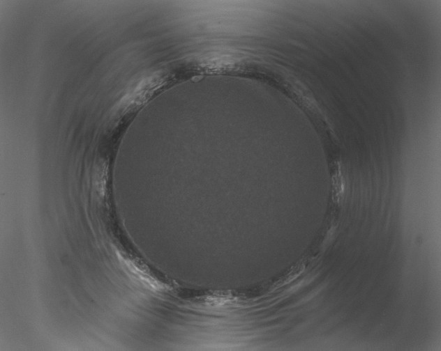 X0000077980458200611031404