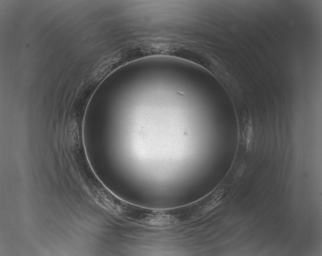 X0000077980459200611031404