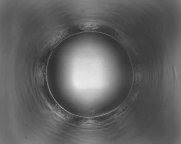 X0000077980460200611031404