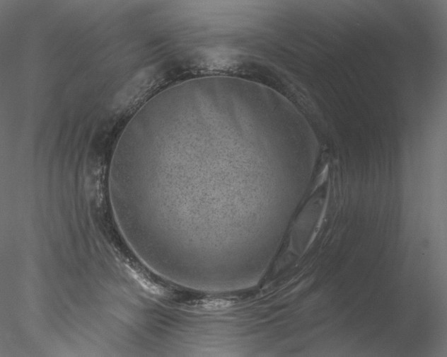 X0000077980462200611031404