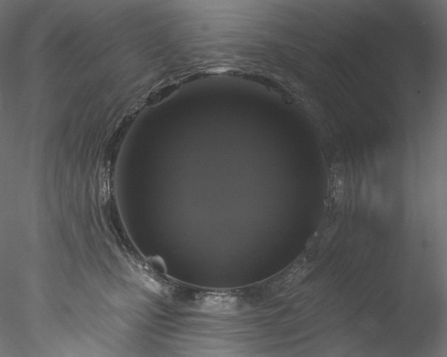 X0000077980471200611031404
