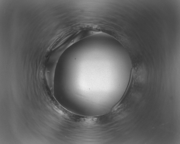 X0000077980474200611031404