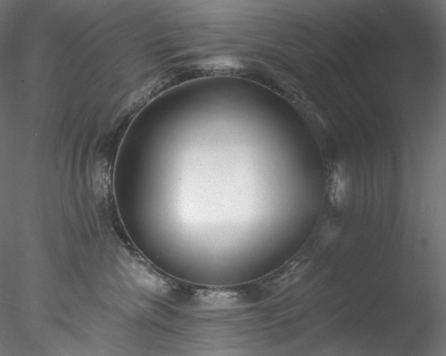 X0000077980476200611031404