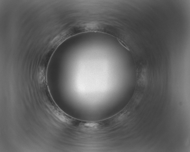 X0000077980478200611031404