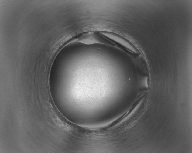 X0000077980481200611031403