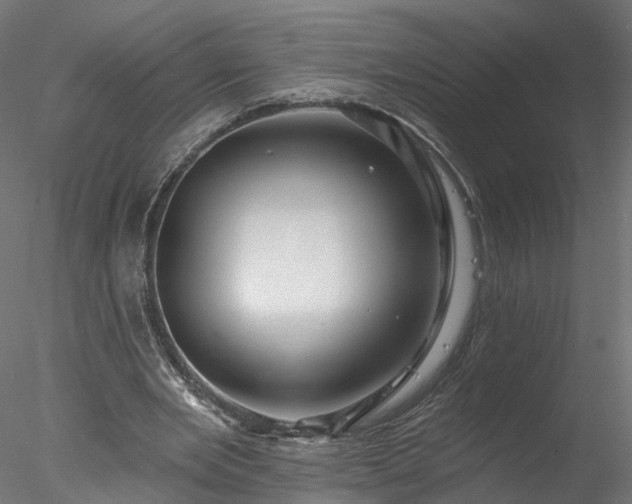 X0000077980485200611031403