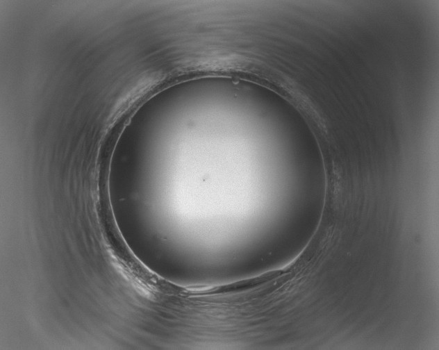 X0000077980486200611031403