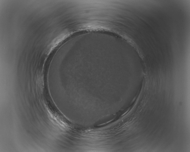 X0000077980488200611031403