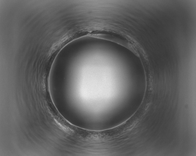 X0000077980489200611031403