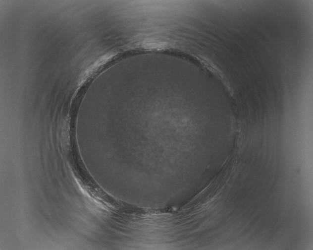 X0000077980492200611031403