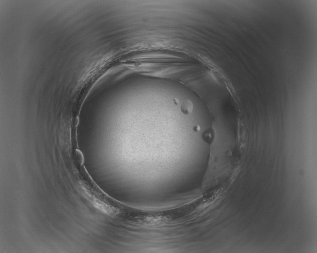 X0000077980493200611031403