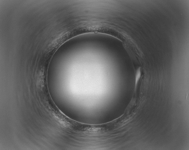 X0000077980497200611031403
