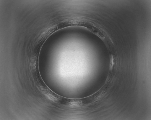 X0000077980505200611031403