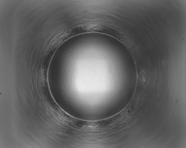 X0000077980506200611031403