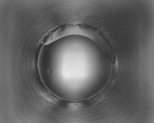 X0000077980508200611031403