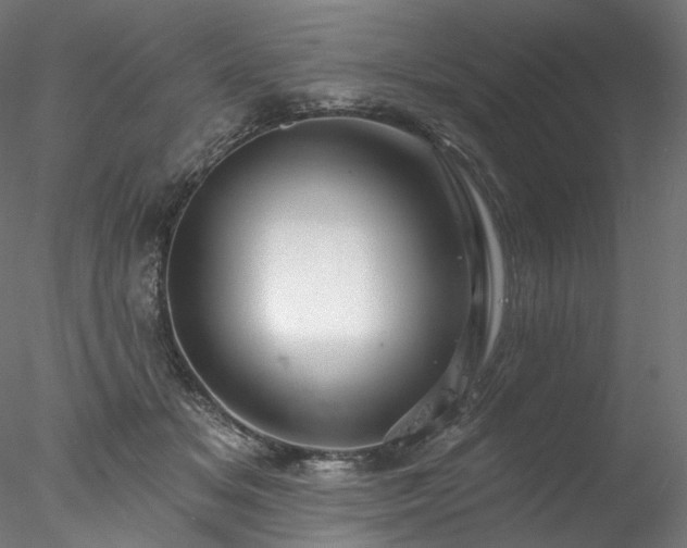 X0000077980509200611031403