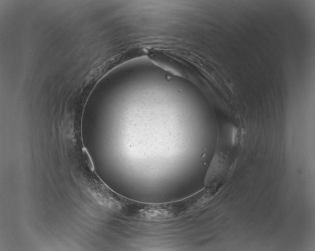 X0000077980512200611031403