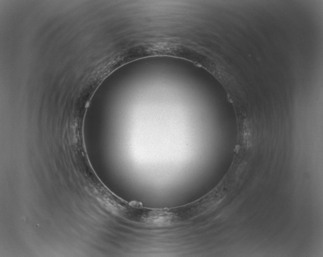X0000077980514200611031403