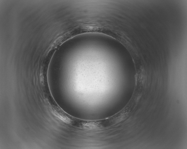 X0000077980516200611031403