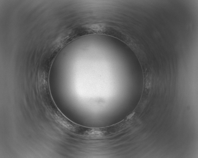 X0000077980518200611031403