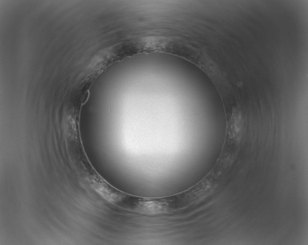 X0000077980522200611031403
