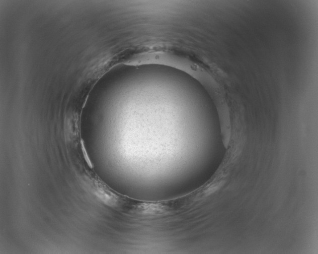 X0000077980528200611031403
